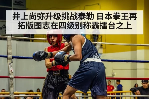 boxing match
